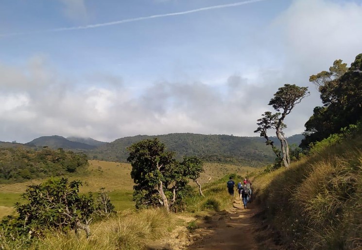 Wandelen door Horton Plains National Park, Sri Lanka
