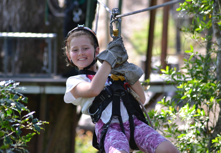 Canopy tour