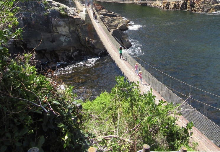 Hangbruggen in Tsitsikamma