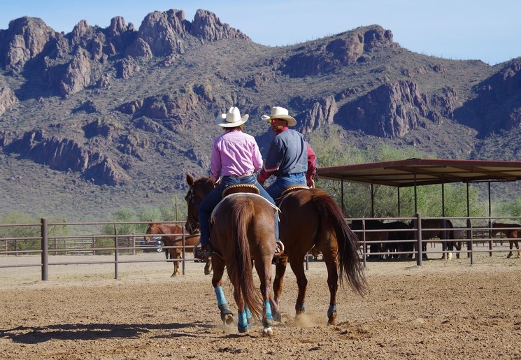 Verblijf op een ranch in Amerika