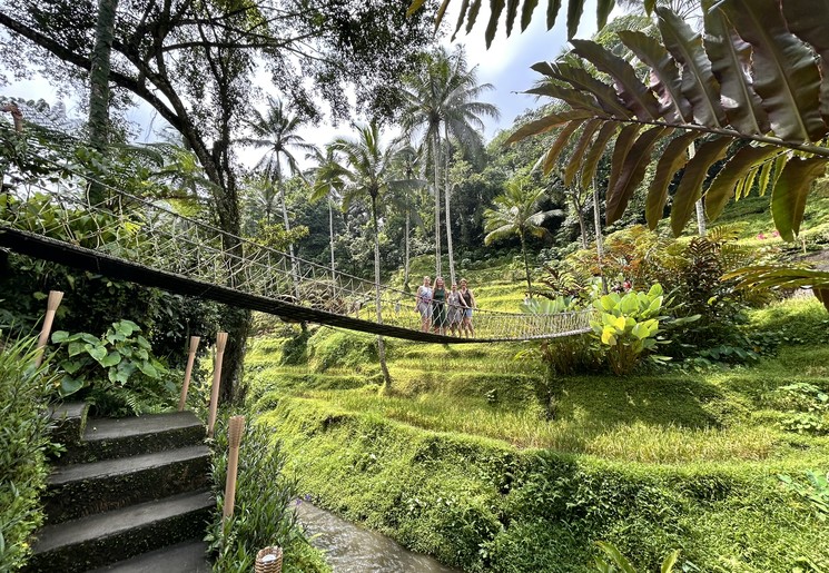 Bij de mooie rijstvelden van Tegalalang.