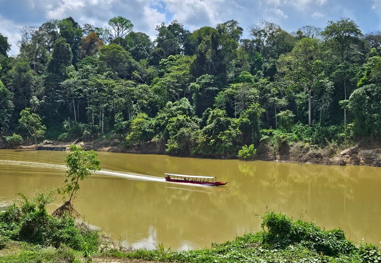 Op avontuur in de jungle van Taman Negara Op avontuur in de jungle van Taman Negara
