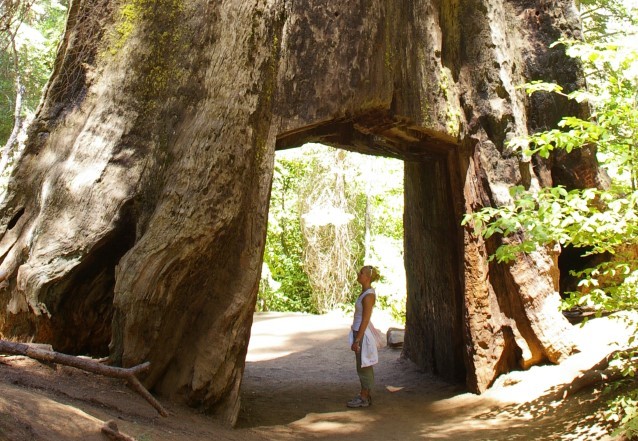 United States Yosemite medewerker Annet