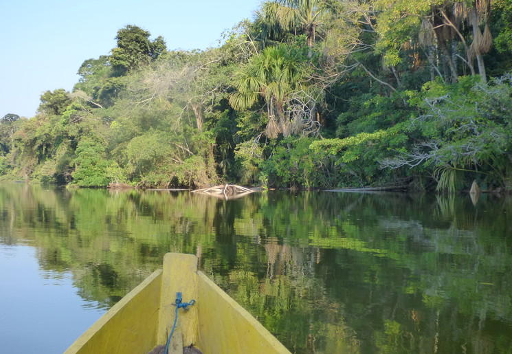 Varen door de jungle van Madidi National Park - Bolivia