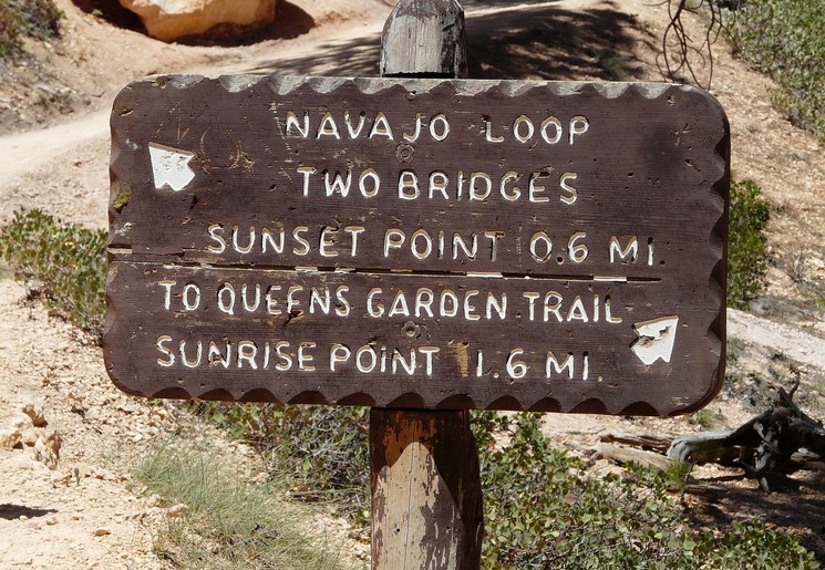 Verenigde-Staten-Bryce-Canyon-5_1_548979