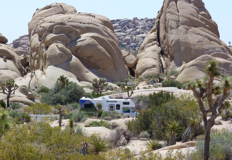 Verenigde-Staten-Joshua-Tree-National-Park_1_549174
