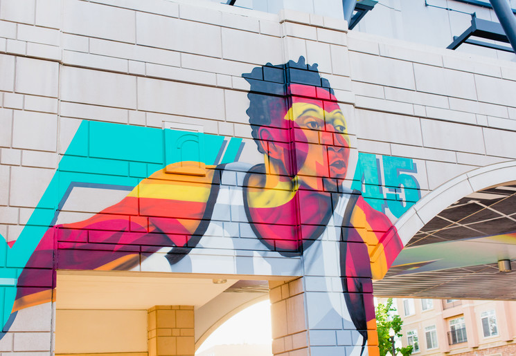 Verenigde-Staten-Rockies-Salt-Lake-City-muurschildering