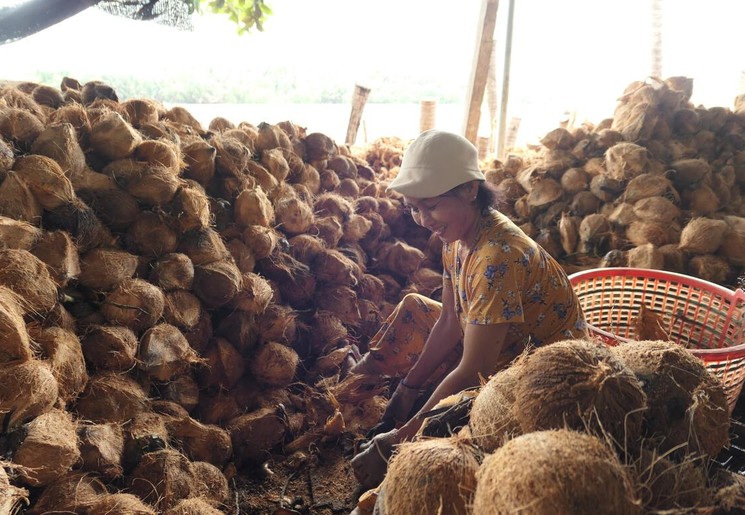 Vietnam Mekong Delta lokale kokosnootchopper