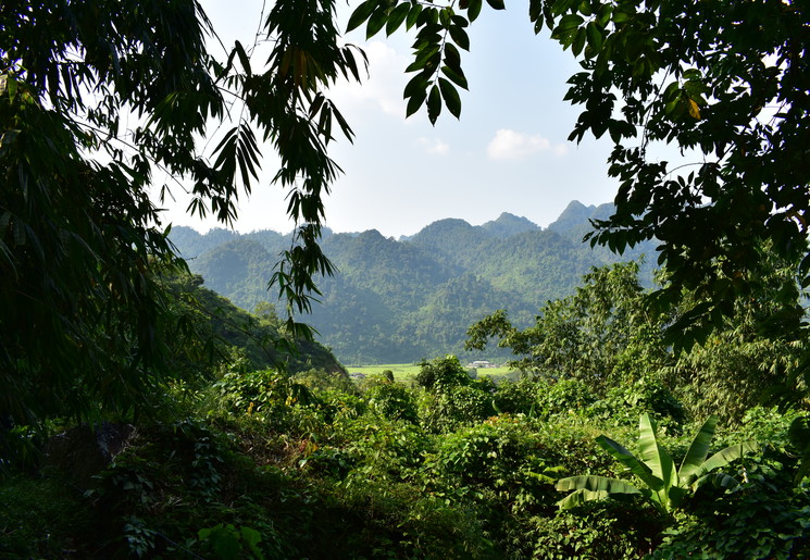 Uitzicht op de jungle van Ba Be