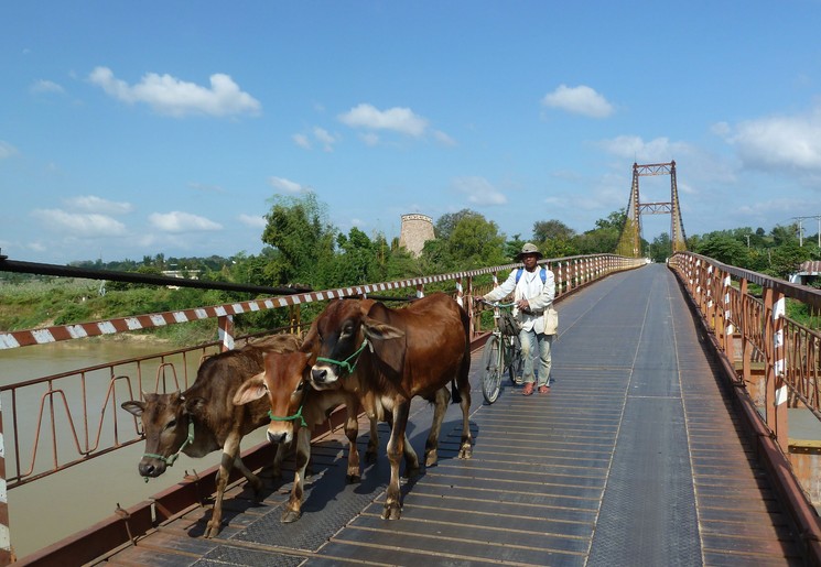 Vietnam-Kon-Tum-ossenwagen