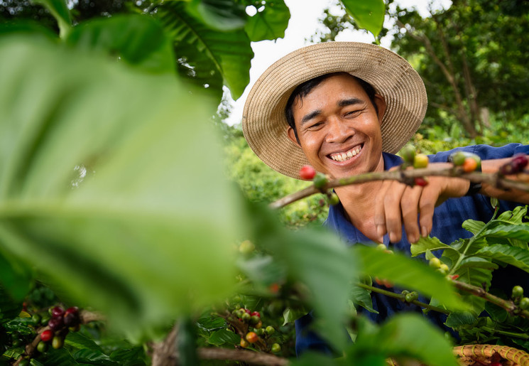 Een lokale koffieplukker in Lak Lake, Vietnam