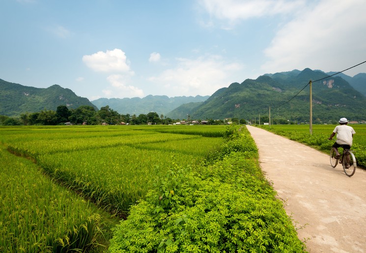 Vietnam-Ninh-Binh-natuur1_1