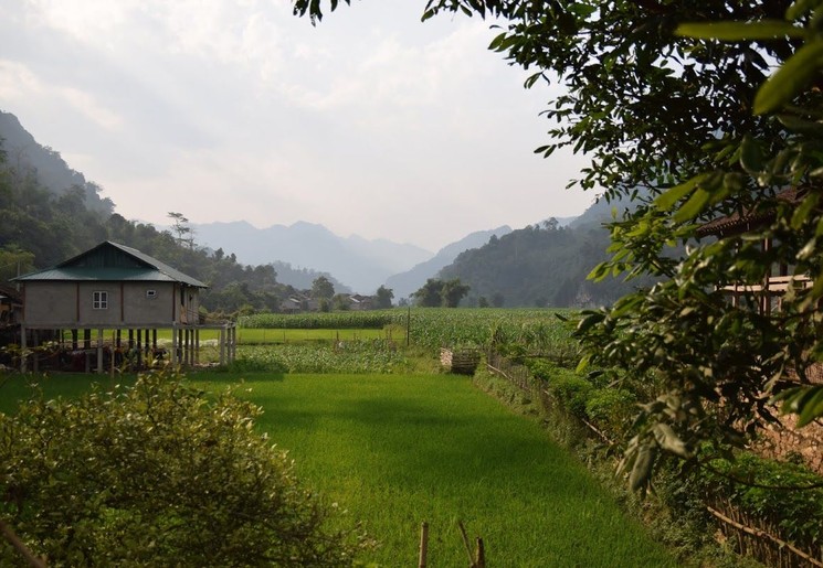 Een huis op palen tussen de rijstvelden van Tam Duong