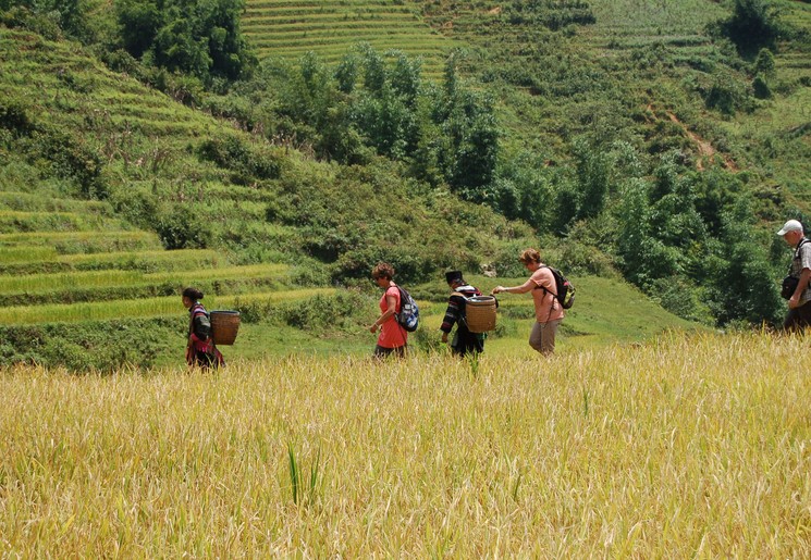 Lokale bewoners met klanten wandelen tussen de rijstvelden in Mu Cang Chai.