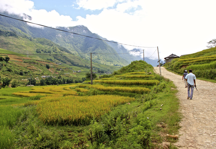 Vietnam-Sapa-rijstterrassen-wandelen_1_477574