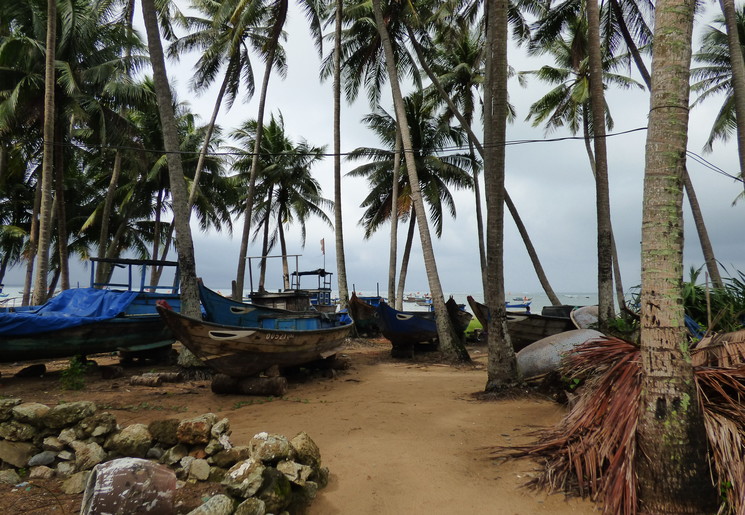 Vietnam-Tam-Hai-palmbomen-strand_1_466294