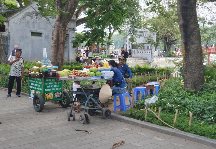 Koop een stuk fruit bij een van de straatverkopers in Hanoi.