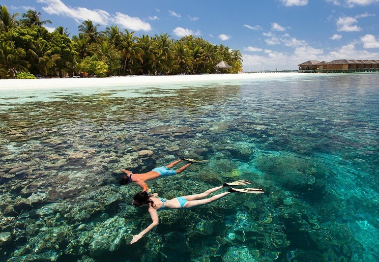 Vilamendhoo-snorkelen, Malediven