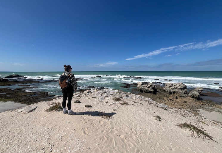 Walvissen spotten in de Hoop Nature Reserve, Zuid-Afrika