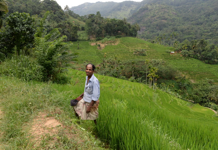 Bewoner in de natuur bij Sri Lanka
