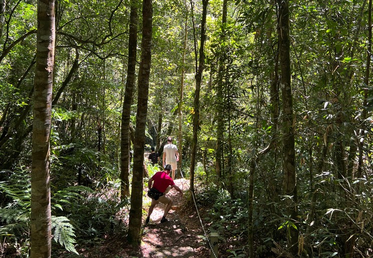 Wandelen in de jungle