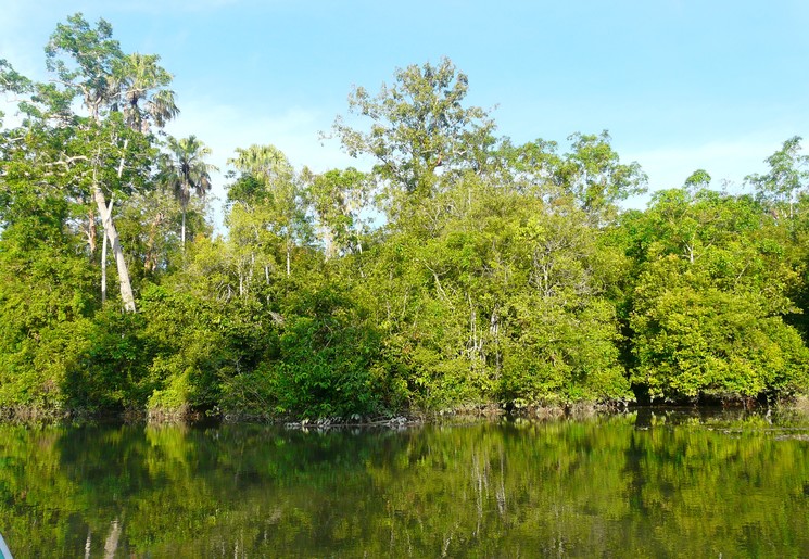 Way-Kambas-5_1_393369