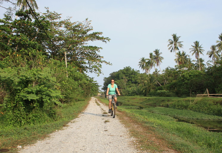 Op de fiets buiten de stad Penang