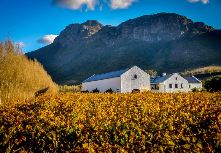 Prachtige uitzichten bij de wijngaarden van Franschhoek in Zuid-Afrika