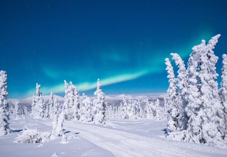 Winterlandschap nabij Fairbanks, Alaska, Amerika Winterlandschap nabij Fairbanks, Alaska, Amerika