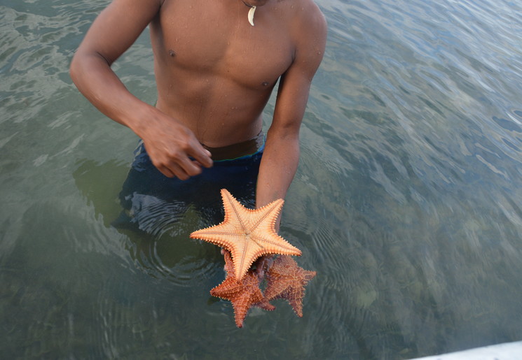 Yandup-Island-Lodge---Mangrove-tour-31