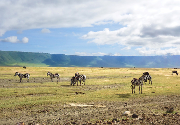 Dieren spotten in de Ngorongoro Krater