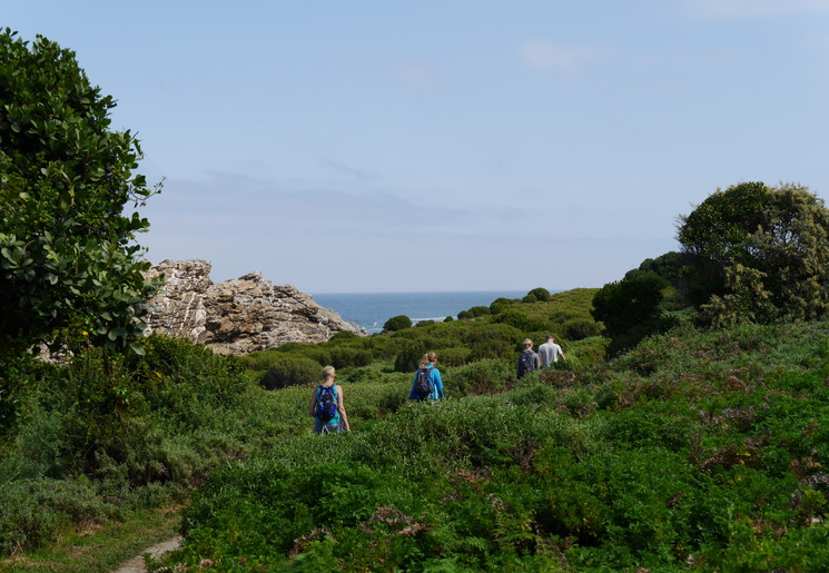 0ee21023-fc34-4d99-8adb-f120f5641ade