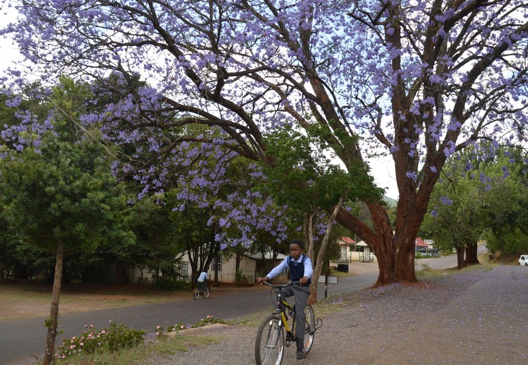 eae422a7-506c-4bc1-8d72-e000e27a23c8