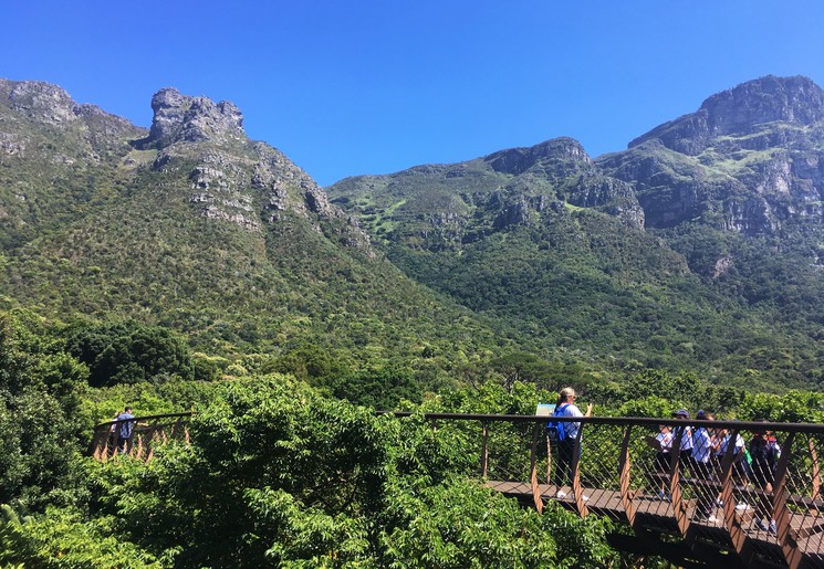 5993eaf1-b04f-4cc0-8f2e-639a20e0ba6e