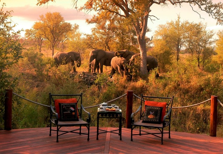 Wild spotten vanuit de Safari Lodge in het Krugerpark