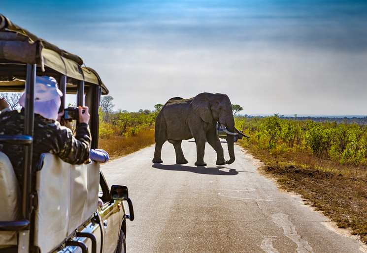 Op safari in het Krugerpark in Zuid-Afrika