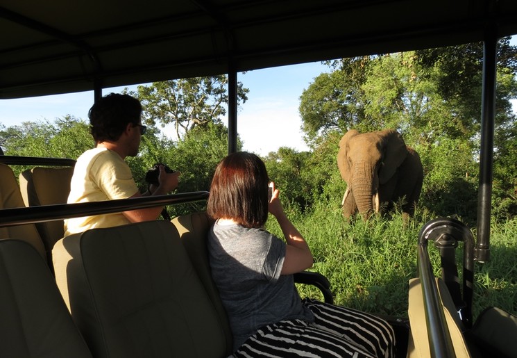 Op safari in het Manyeleti Wildreservaat