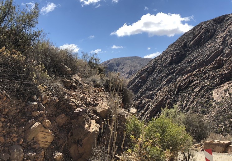 Zuid-Afrika-Oudtshoorn-Landschap