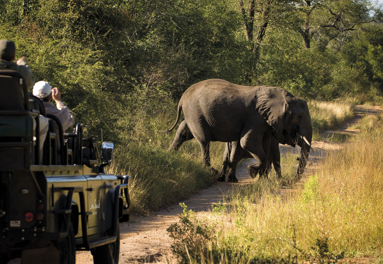 Op safari in een privé wildreservaat, Zuid-Afrika