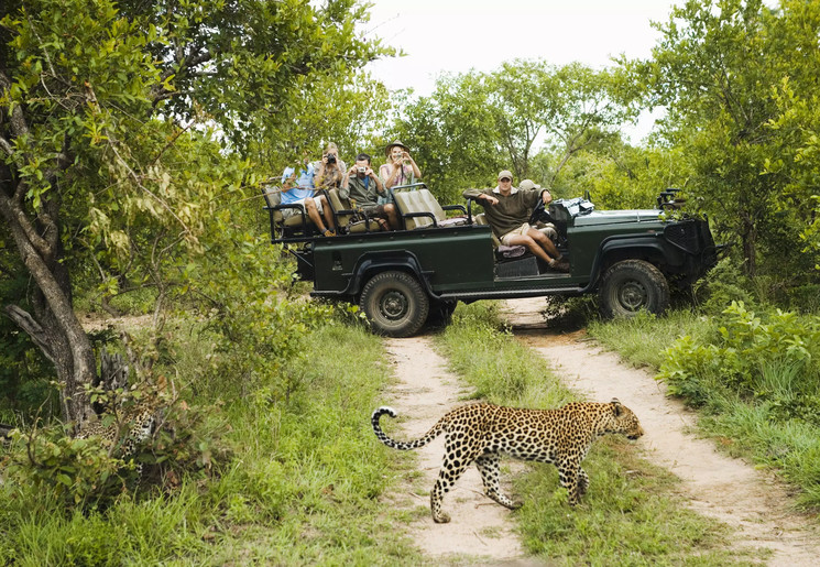 Dieren spotten tijdens een safari door het Sabi Sands wildreservaat in Zuid-Afrika