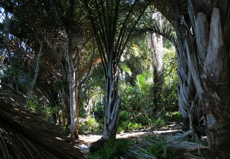 af868846-c71d-4479-b9a0-99edfd7eed23