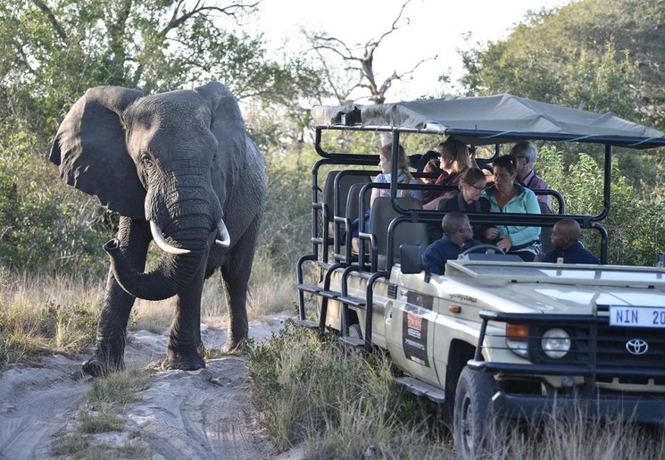 Tembe National Park, Zuid-Afrika