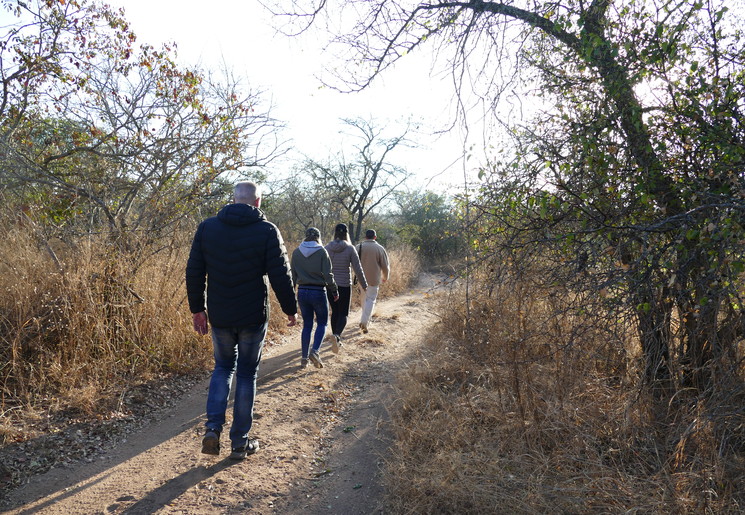 Wandelsafari