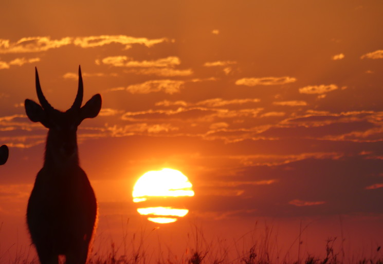 Zuid-Afrika zonsondergang