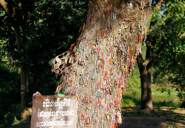 Toeristen hangen bandjes aan de boom als eerbetoon