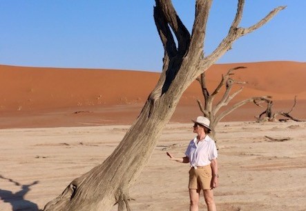 Boom in de Sossusvlei