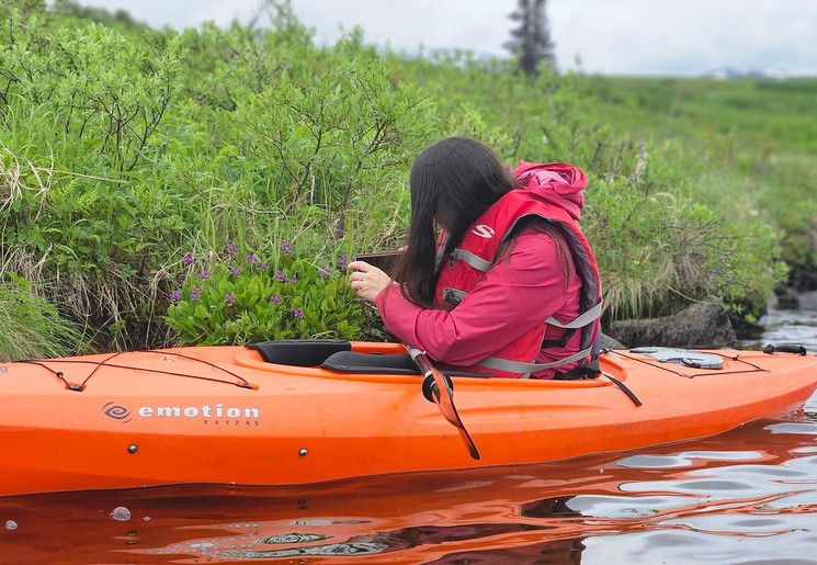 Kanoën op de wateren tussen de toendra's, Alaska, Amerika Kanoën op de wateren tussen de toendra's, Alaska, Amerika