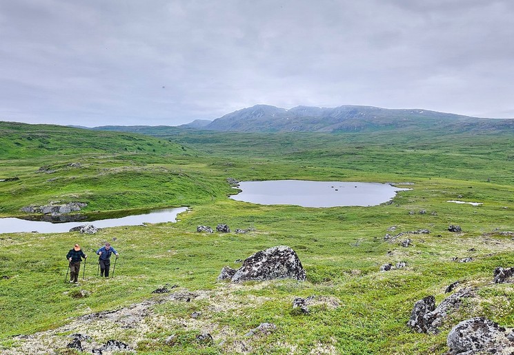 Hiken over de toendra bij Caribou Lodge, Talkeetna, Alaska Hiken over de toendra bij Caribou Lodge, Talkeetna, Alaska