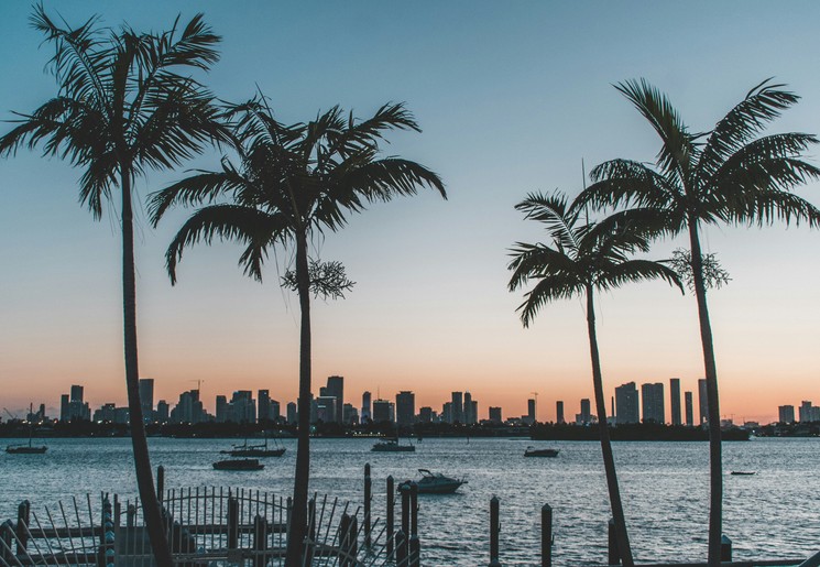 Tropische zonsondergang met palmbomen in Florida