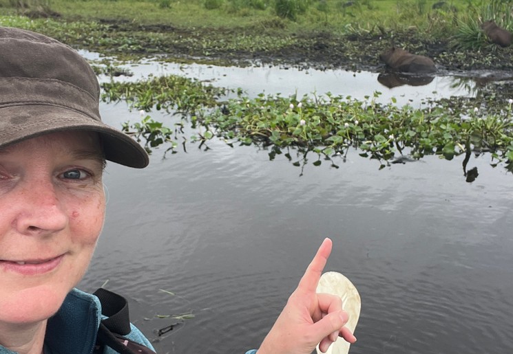 Capibara spotten in Esteros Del Iberá
